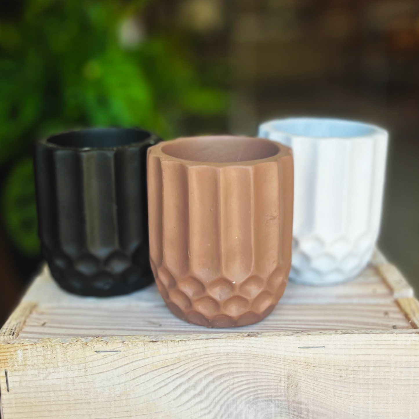 Ceramic Matte Mini Ovata Pots