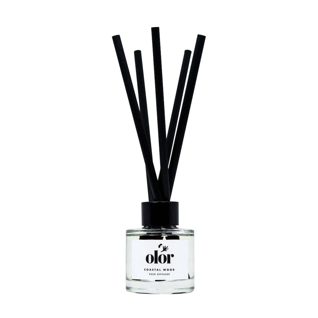 Coastal Wood Mini Reed Diffuser