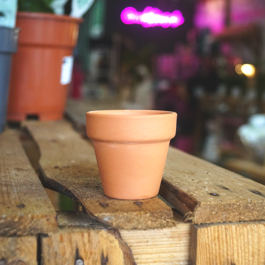 Mini Terracotta Plant Pot