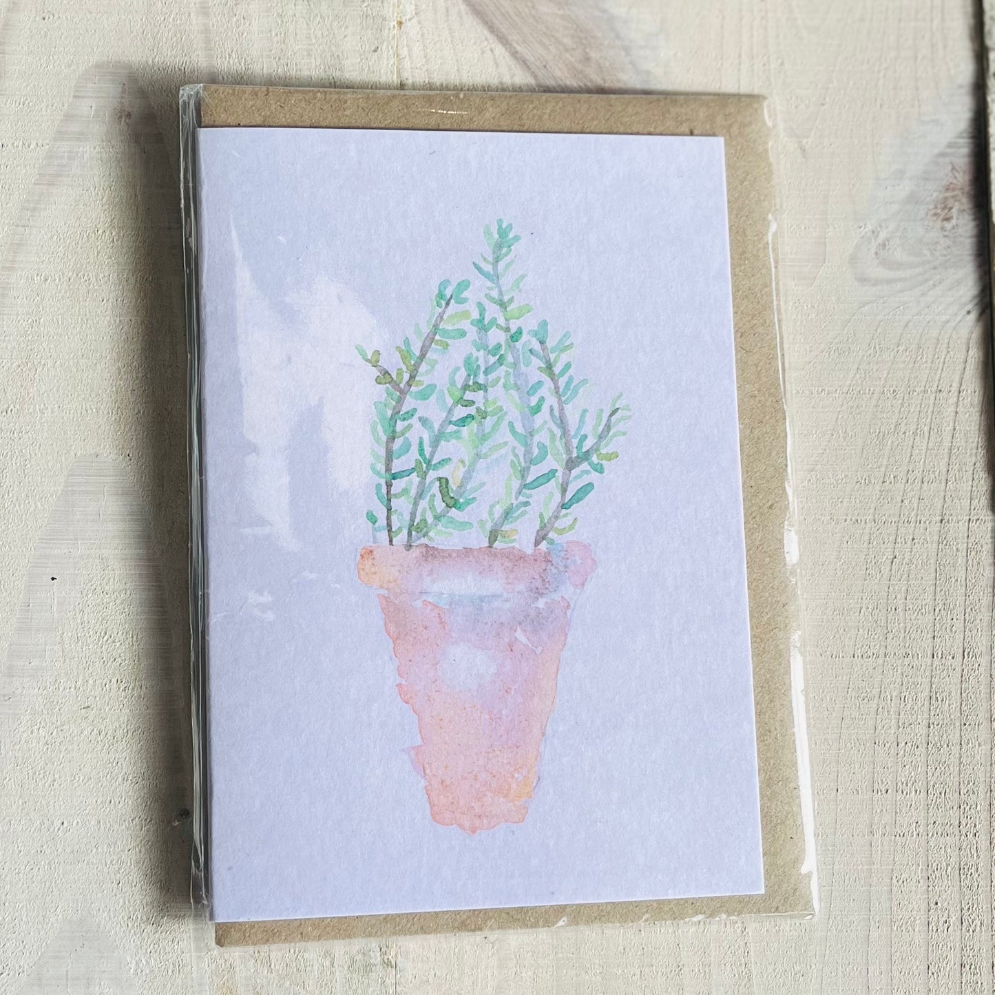 Plant in pot blank card