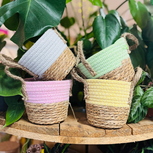 Double-Handle Woven Two-tone Basket