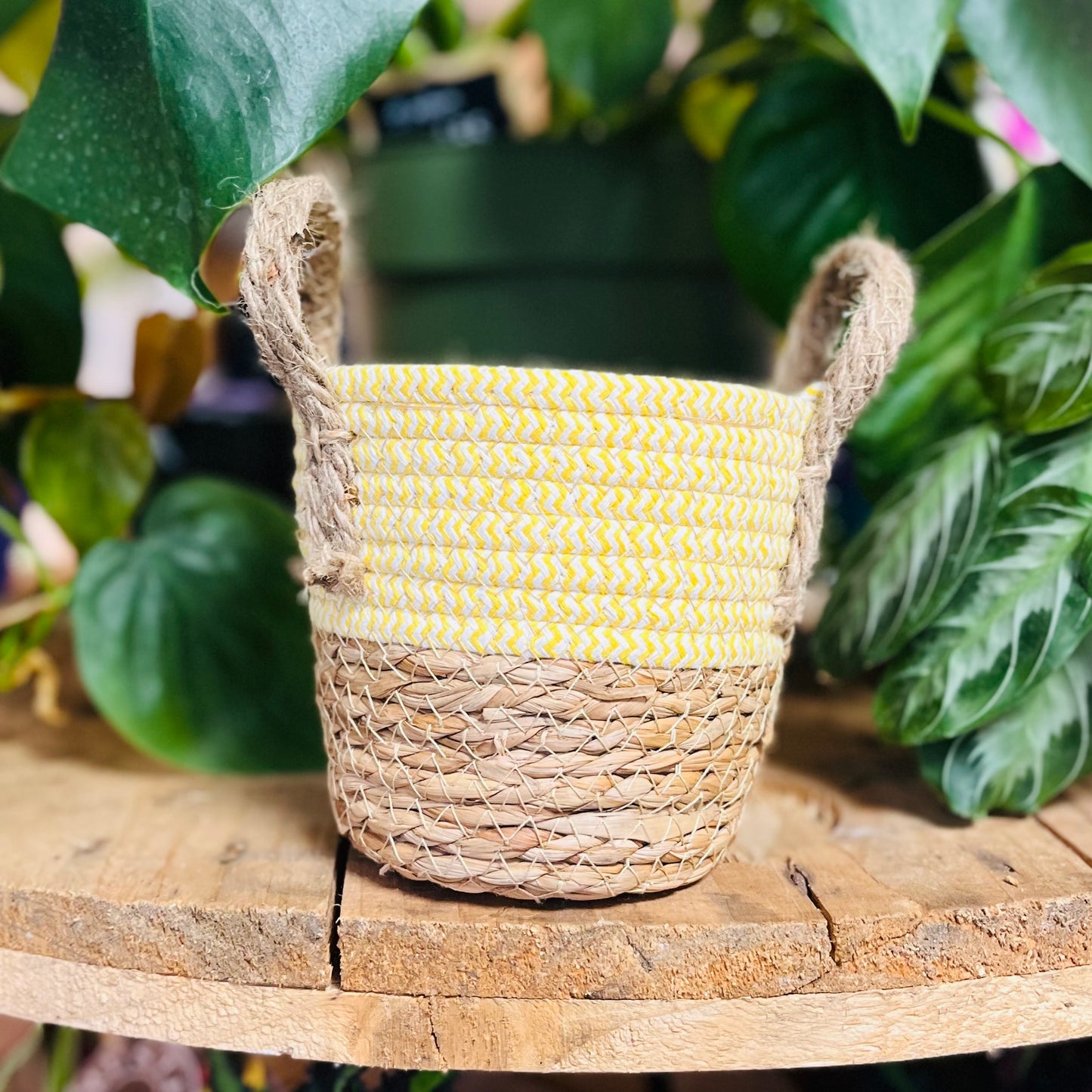 Double-Handle Woven Two-tone Basket