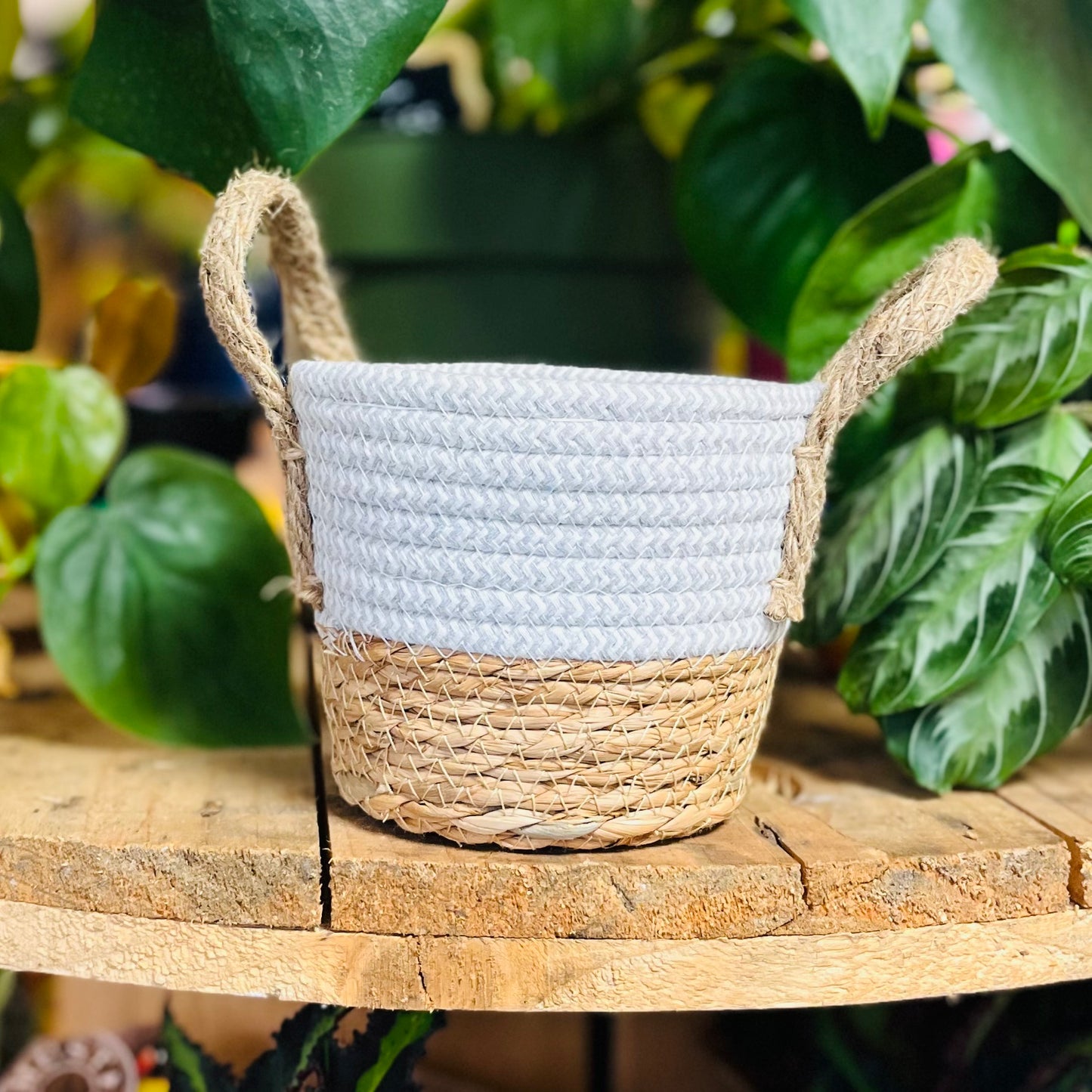 Double-Handle Woven Two-tone Basket