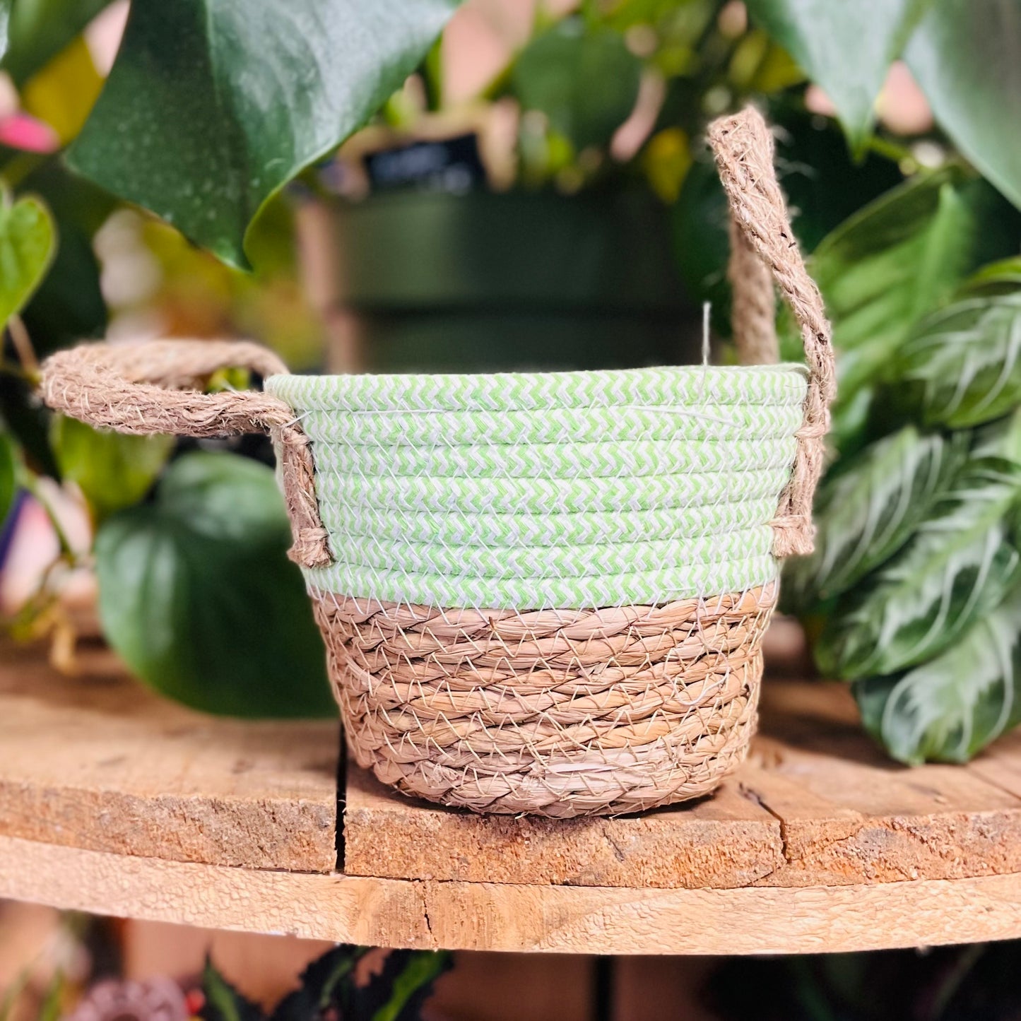 Double-Handle Woven Two-tone Basket