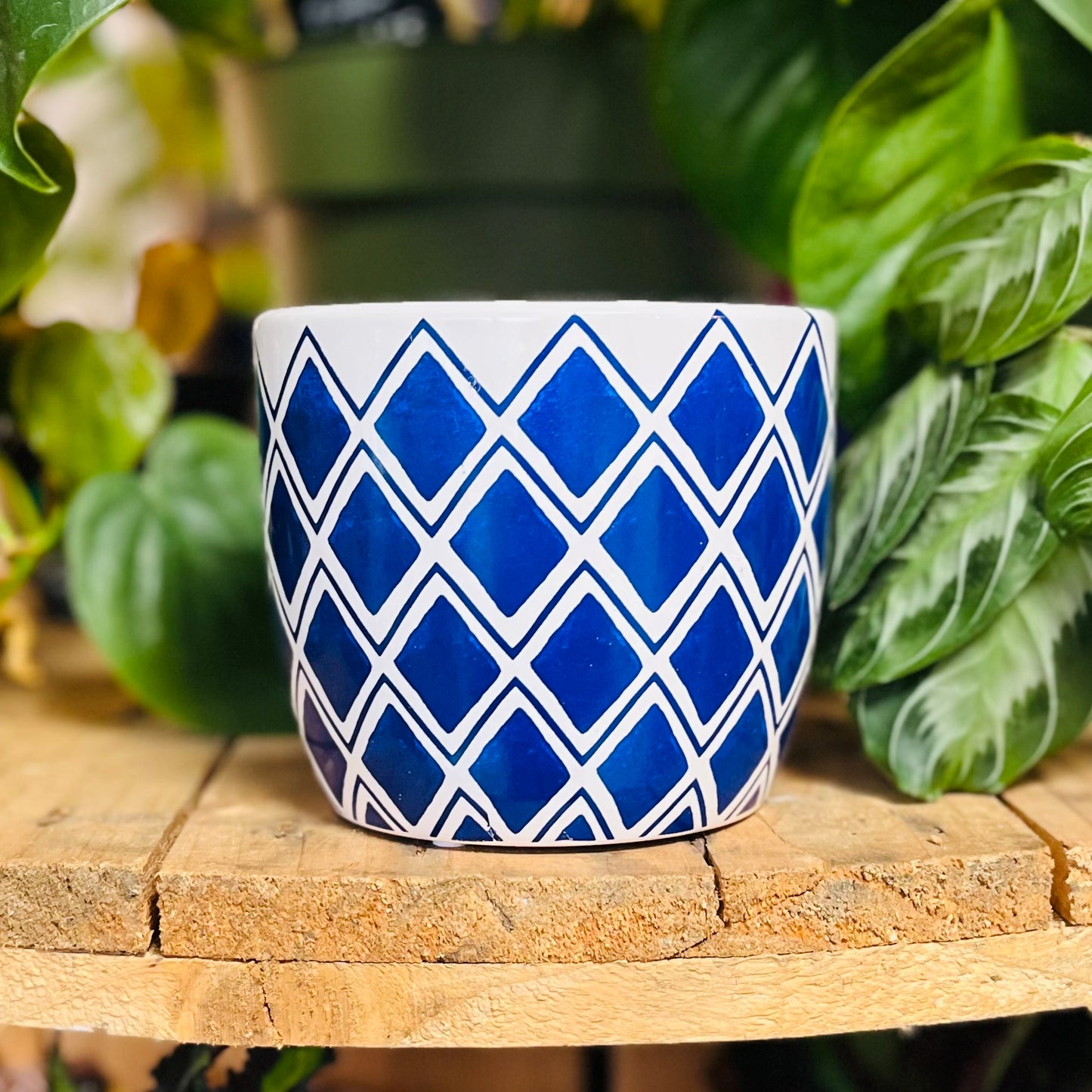 Blue & White Ceramic Patterned Planters