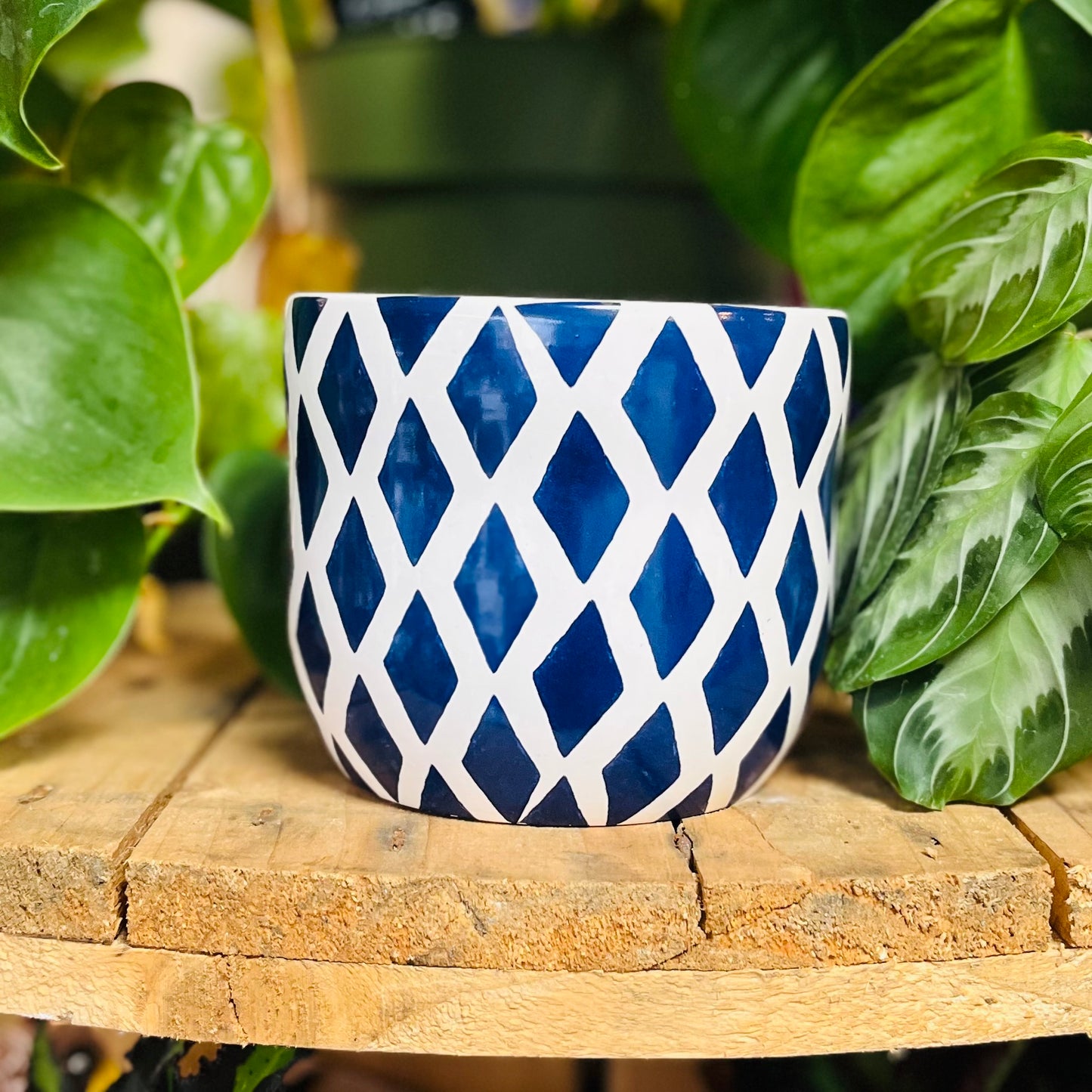 Blue & White Ceramic Patterned Planters