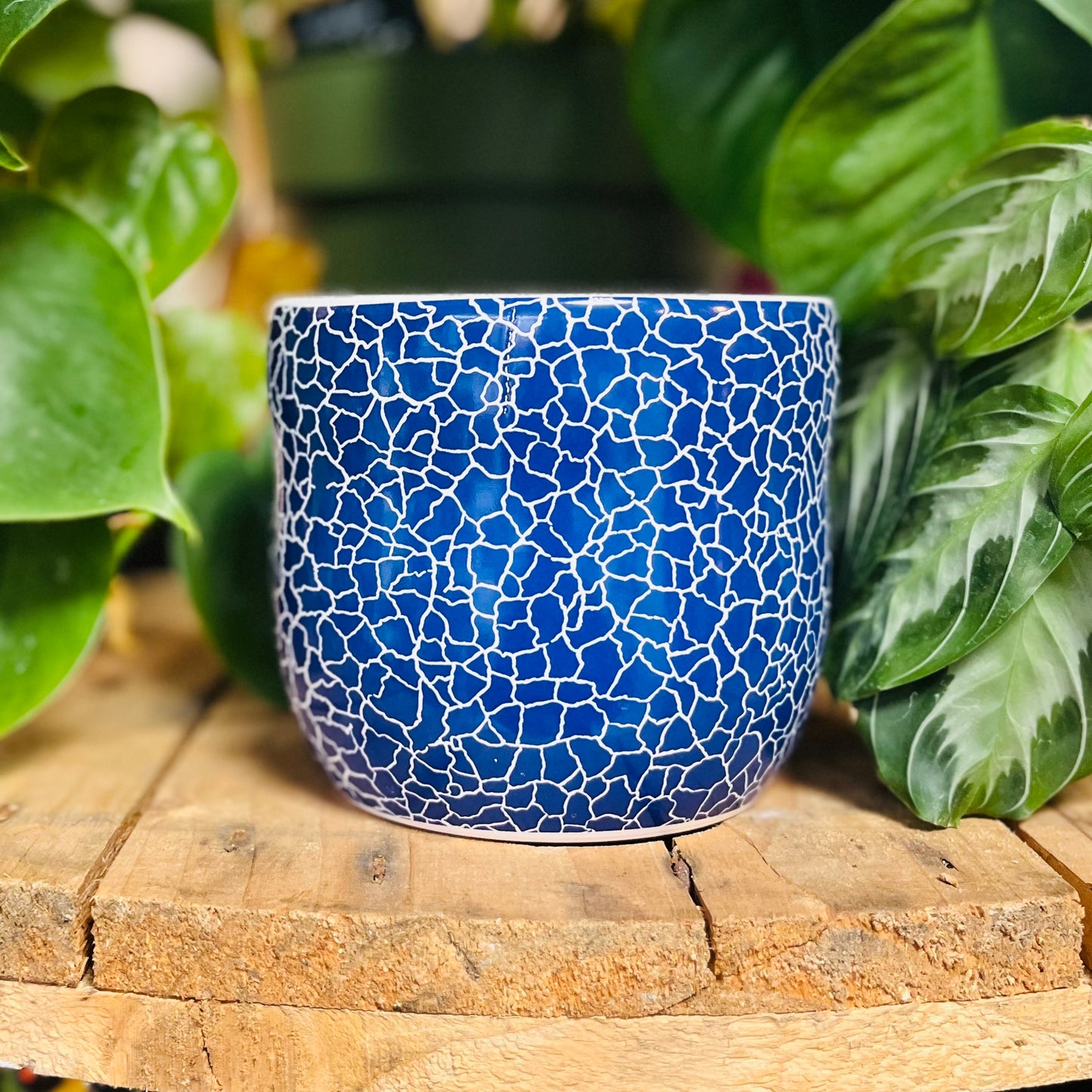 Blue & White Ceramic Patterned Planters