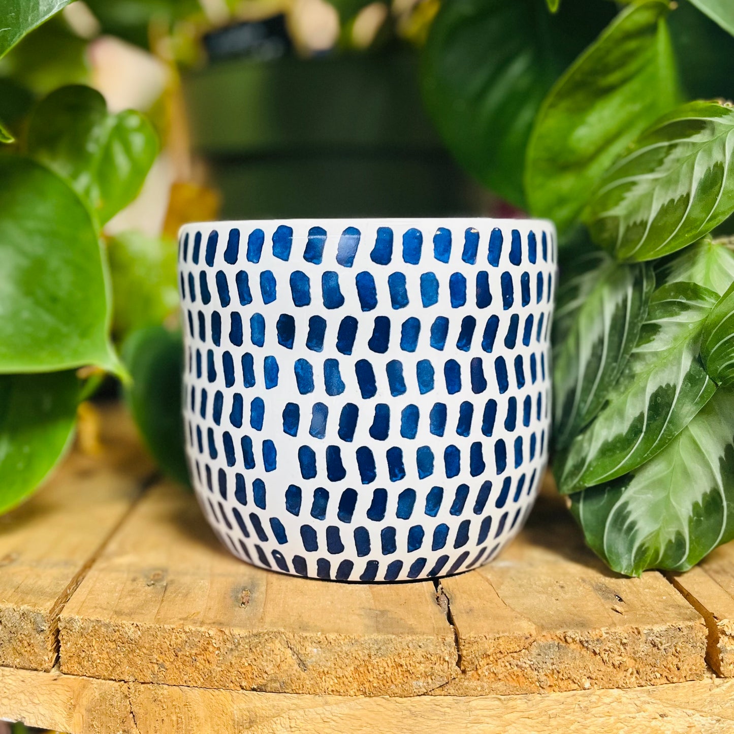 Blue & White Ceramic Patterned Planters