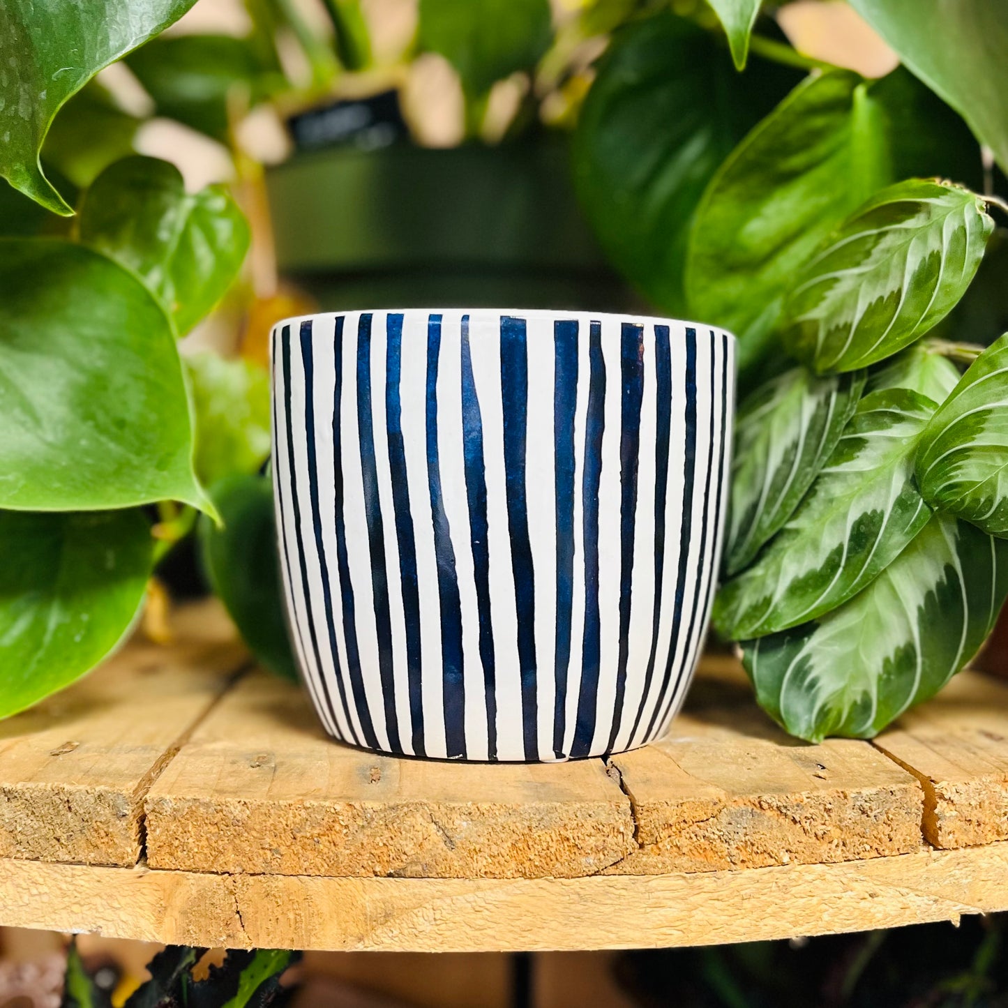 Blue & White Ceramic Patterned Planters