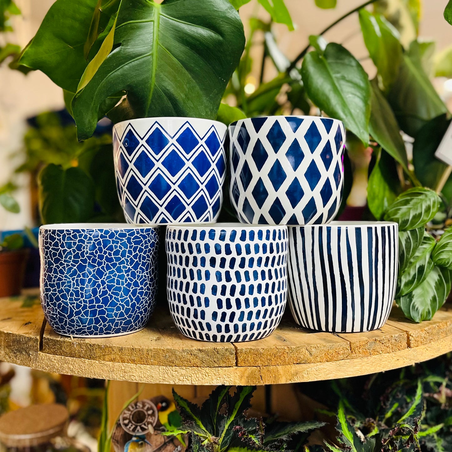 Blue & White Ceramic Patterned Planters