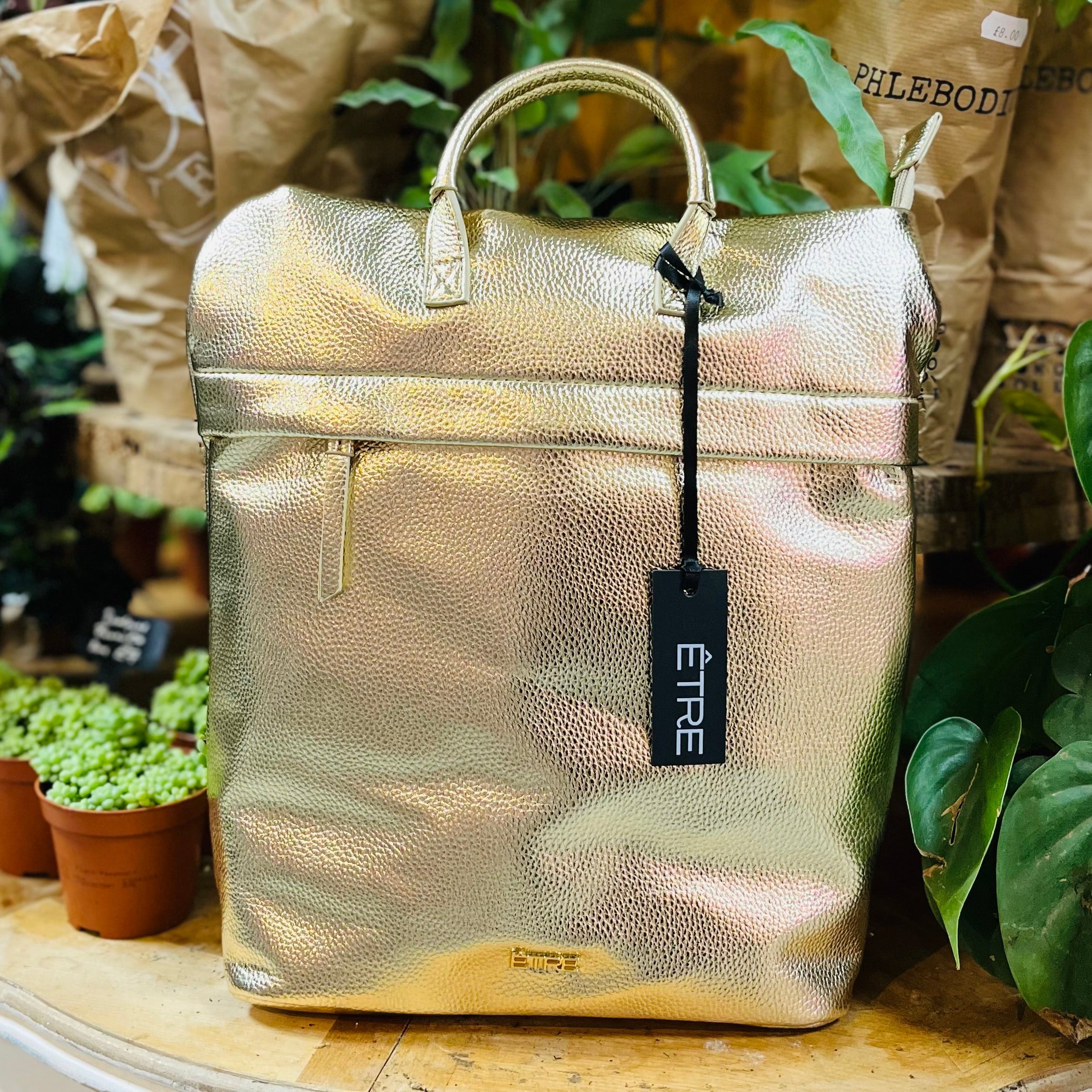 Gold Faux Leather Rucksack with additional protection bag