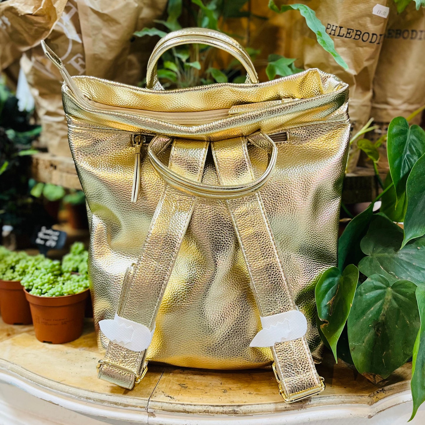 Gold Faux Leather Rucksack (with additional protection bag)