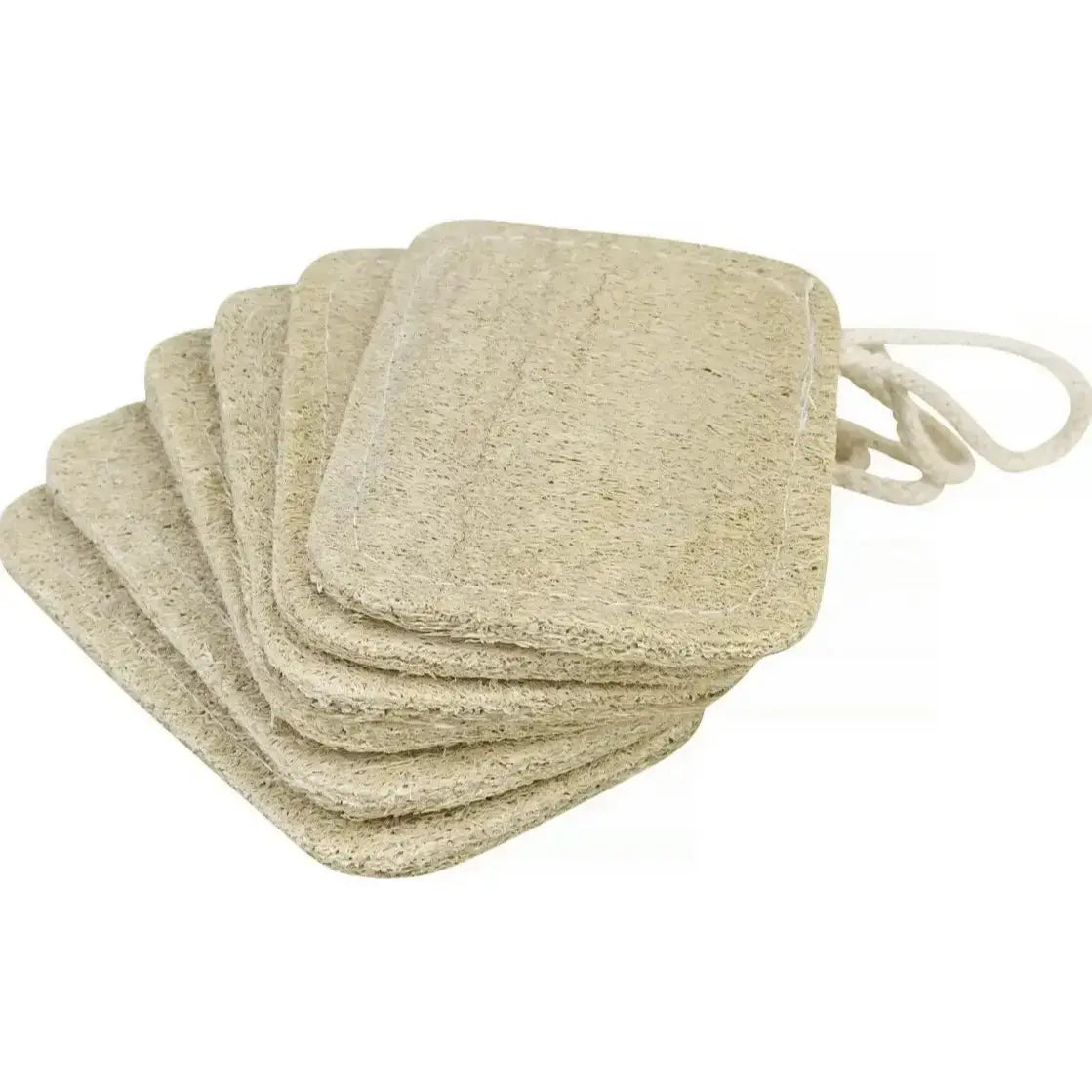 Loofah Organic Exfoliating Sponge (Pack of 3)