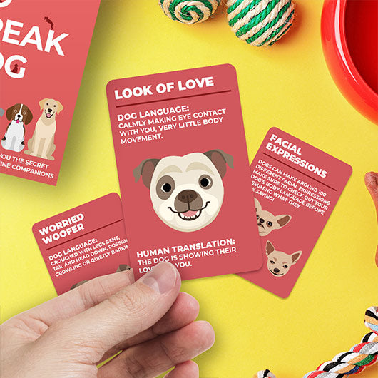 How To Speak Dog - Canine Communication Card Deck