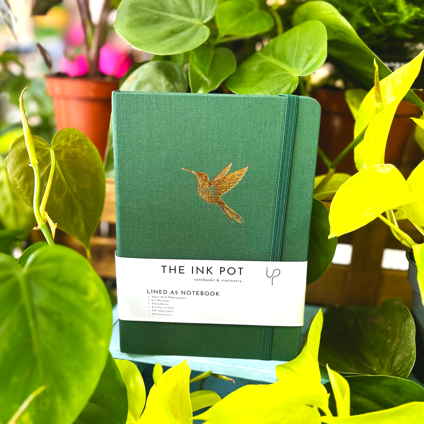 Hummingbird Green Lined Bullet Journal