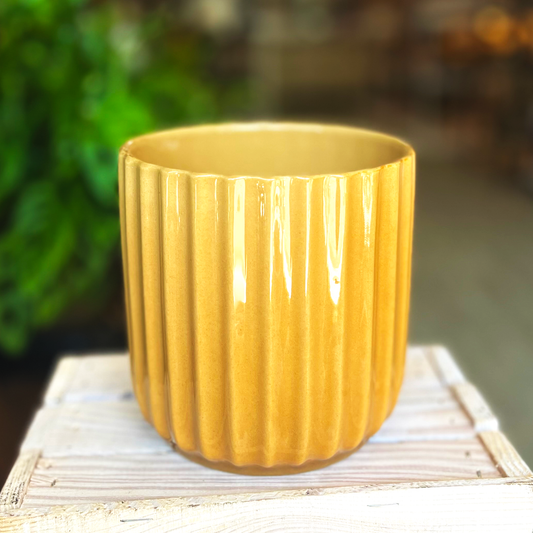 Mustard Ceramic Wavy Pot