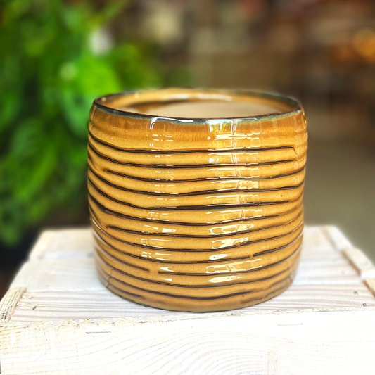 Honey Yellow Ribbed Pot