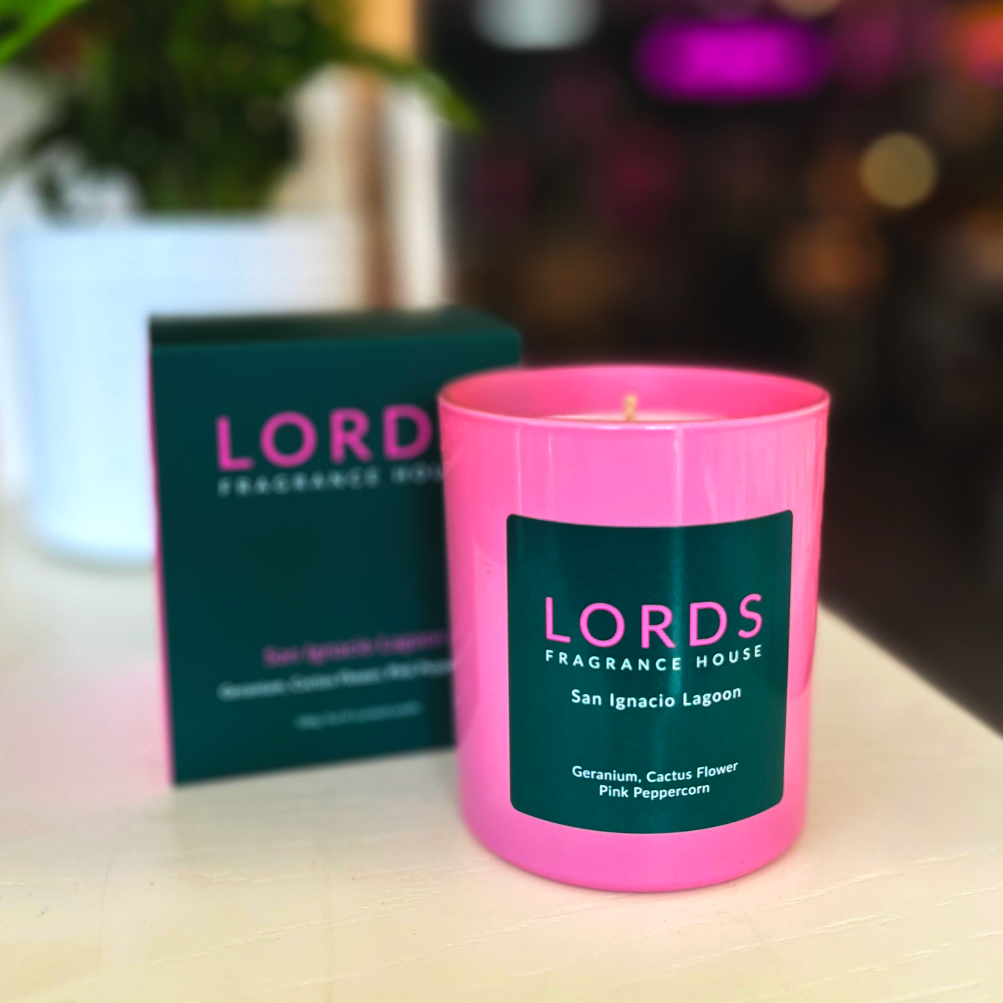 San Ignacio Lagoon Candle - Lords Fragrance House